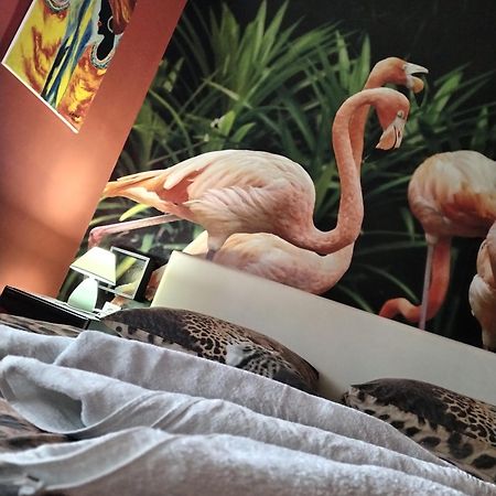 Flamingos Apartman & Fitness Centar Osijek - Blizina Bolnice Kbc Osijek Eksteriør billede
