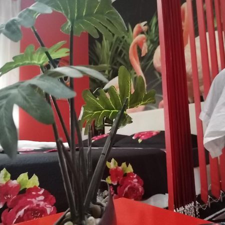 Flamingos Apartman & Fitness Centar Osijek - Blizina Bolnice Kbc Osijek Eksteriør billede